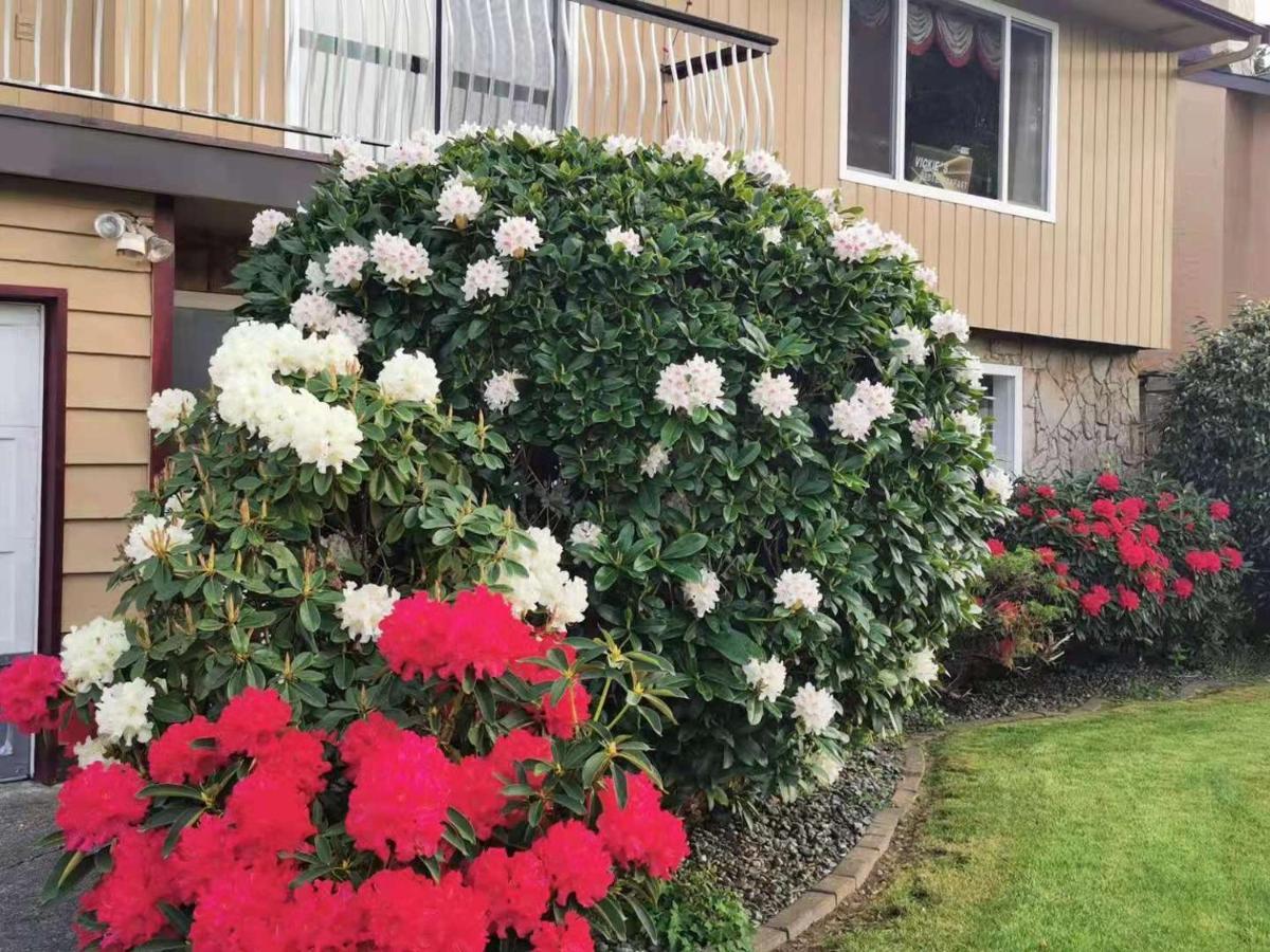 Richmond Vancouver Airport Comfy Home Экстерьер фото